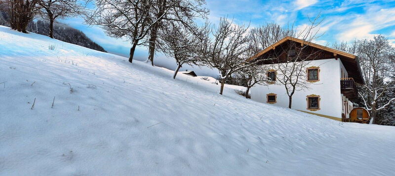 Ferienhaus Alpenrehblick im Schnee, Hüttenurlaub in Tirol im Winter