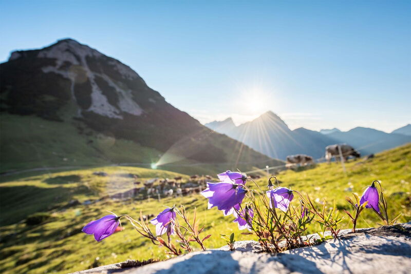 Blick ins Hohljoch in der Eng im Naturpark Karwendel