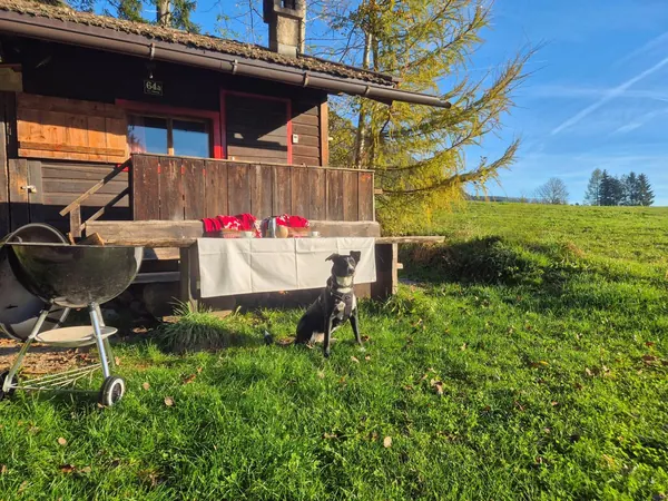 Sonniger Vormittag vor dem Waldhüttl am Umlberg bei Terfens