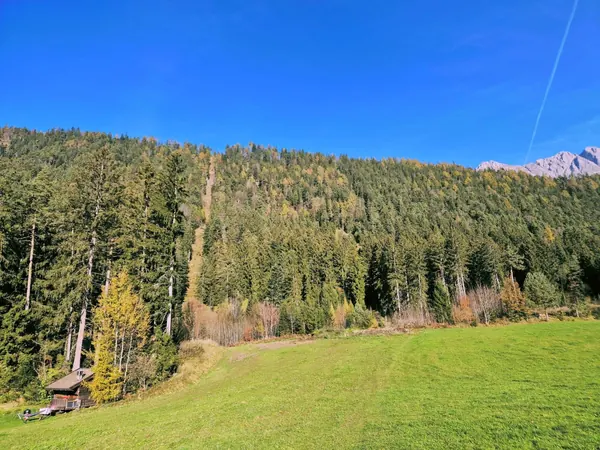 Freie Bergwiese am Waldhüttl, dahinter das Karwendelgebirge in Tirol